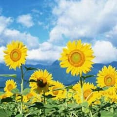 ばんび☆様 専用のサムネイル