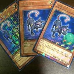 魔轟神獣キャシー 3枚 遊戯王のサムネイル