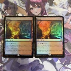 MTG 蒸気孔 foil 2枚 日本語 - メルカリ