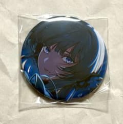 ヴァーデス アニメガ ステラワース クレチェン アクスタ 缶バッジ m45858372452_1.jpg?1783954994