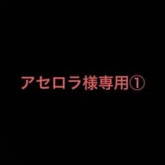 アセロラ様専用①のサムネイル