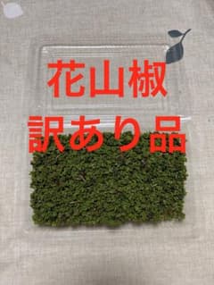 奈良県産 花山椒 100g 訳あり品のサムネイル