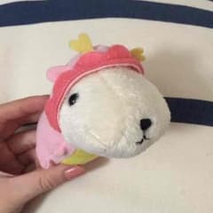 カピバラさんのサムネイル
