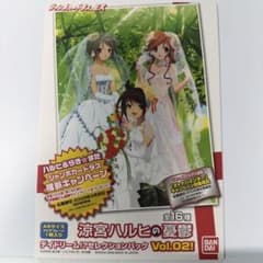 涼宮ハルヒの憂鬱 ジャンボカードダス EX A5クリアプレート - メルカリ