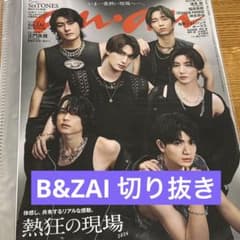 anan No.2494 B&ZAI 雑誌切り抜きのサムネイル