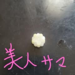 美人さま 専用のサムネイル
