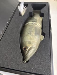 コードネームバスのサムネイル