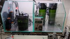 ガラス水槽 大きめ フィルター2台 LEDライト付き　引取り限定 ガラス水槽 大きめ フィルター2台 LEDライト付き 引取り限定 - メルカリ