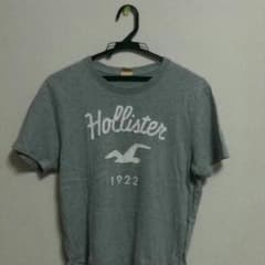 ホリスターTシャツのサムネイル