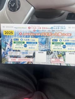 ナガシマリゾートのチケット 3枚の値段ですのサムネイル