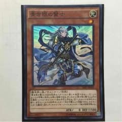 青き眼の賢士のサムネイル