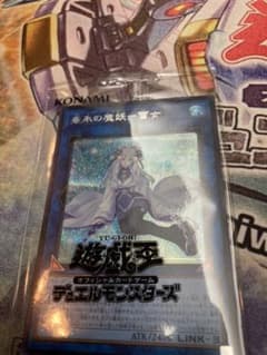 遊戯王　垂氷の魔妖-雪女　シークレットのサムネイル