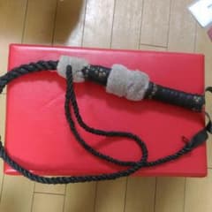 ムチのサムネイル