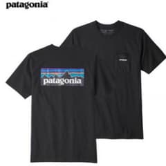 パタゴニア Tシャツ 黒 Mのサムネイル