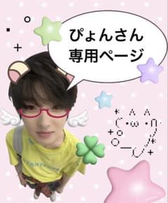 ぴょんさん専用ページのサムネイル