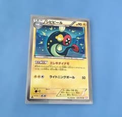 シビビール U BW2 レッドコレクション 026/066