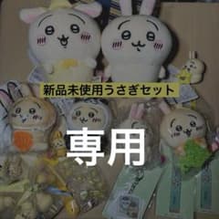 【らいむ様専用】うさぎ 新品未使用お買い得セット✨のサムネイル