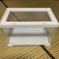 レプテリアホワイト300のサムネイル