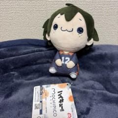 ハイキュー!! もちぴこぬいぐるみ 山口忠