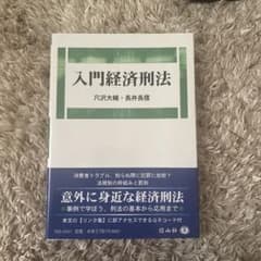 入門経済刑法のサムネイル