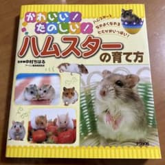 かわいい!たのしい!ハムスターの育て方 : ハムスターとなかよくなれるヒミツが…のサムネイル