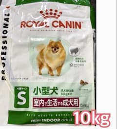 最安値！ロイヤルカナン ミニインドアアダルト 10kg 成犬用 - メルカリ