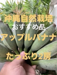沖縄【天然】アップルバナナ　たっぷり2房 18本1.8kg 1set先着1名様のサムネイル