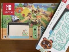 Nintendo Switch どうぶつの森　同梱版　キャリングケース付のサムネイル