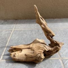 流木のサムネイル