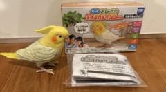 タカラトミーアーツ もっとおしゃべり天才オカメインコちゃんのサムネイル