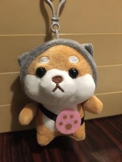 This is so cuteのサムネイル