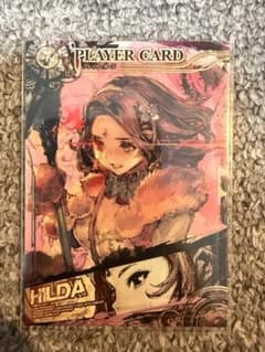 LORD of VERMILION プレイヤーカード ヒルダのサムネイル