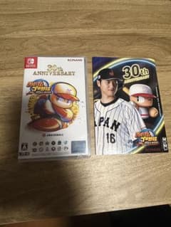 パワフルプロ野球2024-2025のサムネイル
