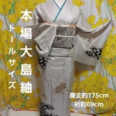 お値下げしました❣️上品な四季の花刺繍　紬訪問着❣️ 付け下げ 染大島紬 刺繍 植物模様 パープル 着物 114a d 付け