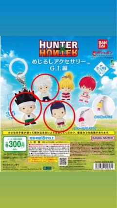 헌터 헌터 메지루시 액세서리 GI편