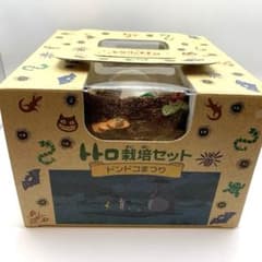 となりのトトロ　栽培セット　ドンドコまつり　プランター　レア m45926233307_1.jpg?1774595024