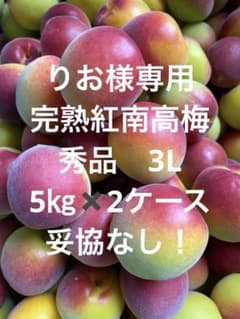 和歌山県紀南産 完熟紅南高梅 3L 秀品5㎏ ✖️2ケース - メルカリ