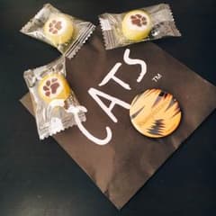 CATS缶バッジ ランペルティーザのサムネイル