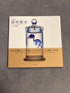 新世界 透明標本 冨田伊織 写真集のサムネイル