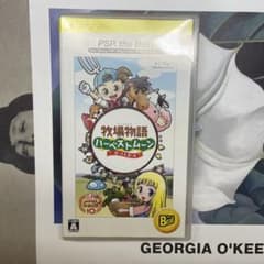 牧場物語 ハーベストムーン ボール&ガールUMDのサムネイル