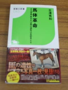 競馬王新書 馬体革命 古澤秀和のサムネイル