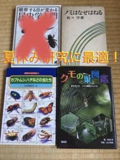 곤충 물건 3권 세트 거미줄 도감·그 외