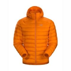 えむ様専用　Arcteryx cerium lt Mサイズのサムネイル