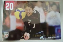バレーボール男子日本代表 ポストカードコレクション 山本智大 西山大翔のサムネイル