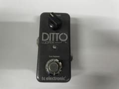 DITTO LOOPER エフェクター ルーパーのサムネイル