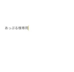 あっぷる様専用　　The North face クライムライトジャケットのサムネイル
