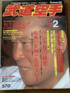武道空手 1990年2月号 特集　大山倍達直接稽古を追う、パンチ力の秘密　他のサムネイル