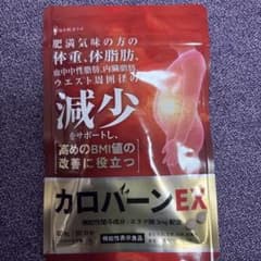 カロバーンEX 60粒 30日分のサムネイル