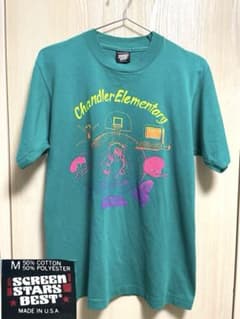 80s USA製 スクリーンスターズ シングルステッチ ヴィンテージTシャツ 