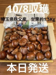 秩父産　生栗1.5Kgのサムネイル